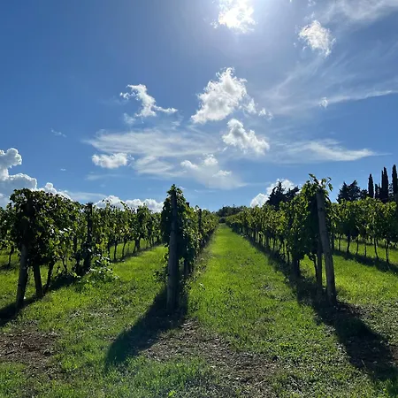 Hébergement de vacances Il Villino Castellina in Chianti
