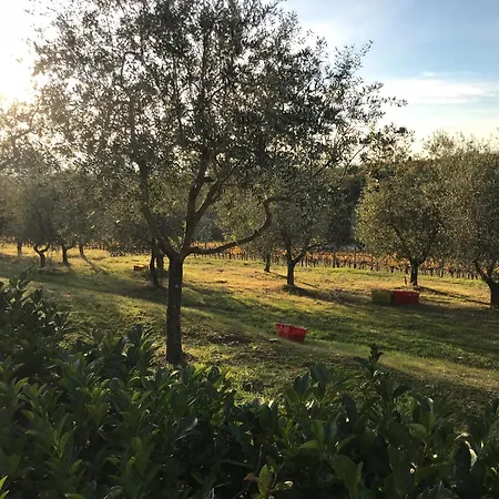 Il Villino Holiday home